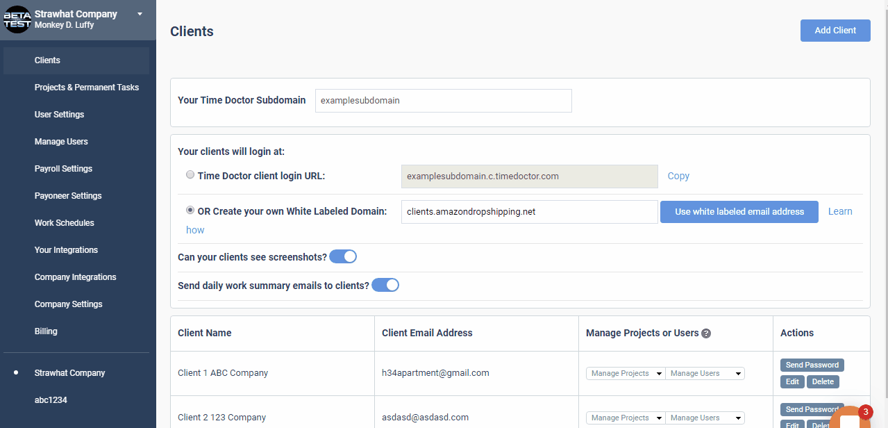 Setting Up Your Own White-Labeled Client Domain and Email